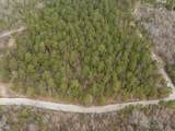 2687 Big Dog Trail - Photo 20