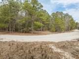 2687 Big Dog Trail - Photo 24