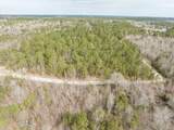 2687 Big Dog Trail - Photo 3