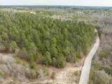 2687 Big Dog Trail - Photo 4