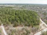 2687 Big Dog Trail - Photo 5