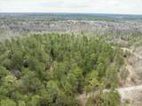 2687 Big Dog Trail - Photo 6