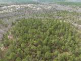 2687 Big Dog Trail - Photo 7