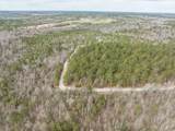 2687 Big Dog Trail - Photo 9