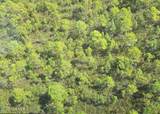 483.10 Whiteville Road - Photo 11