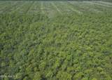 483.10 Whiteville Road - Photo 13