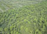 483.10 Whiteville Road - Photo 20