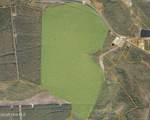 483.10 Whiteville Road - Photo 8
