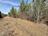 0 Guinea Mill Road - Photo 22