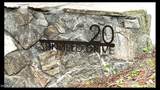 20 Sunfield Drive - Photo 61