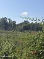 Tbd Everett Chappell Road - Photo 10