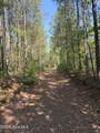 Tbd Everett Chappell Road - Photo 12