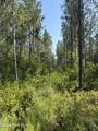 Tbd Everett Chappell Road - Photo 14