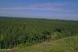 Tbd Everett Chappell Road - Photo 25