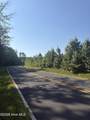 Tbd Everett Chappell Road - Photo 3