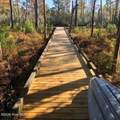 32 Pasquotank Blvd. - Photo 7