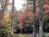 64 Timberline Road - Photo 41