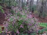 64 Timberline Road - Photo 42