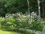 64 Timberline Road - Photo 43