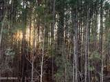 Lot 24 Bailey Pointe S/D Drive - Photo 19