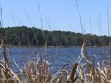 Lot 24 Bailey Pointe S/D Drive - Photo 25