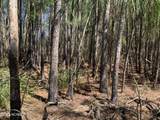 Lot 24 Bailey Pointe S/D Drive - Photo 27