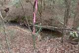 0 Rawls Church Road Road - Photo 12