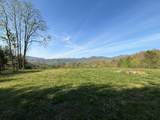 8888 Yellow Branch Road - Photo 9
