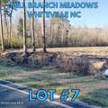 1834 Harrelsonville Road - Photo 1