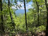 501 Cliff Top Trail - Photo 40