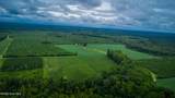 1601 Hills Neck Road - Photo 11