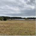 44.25 Ac Old Sanders Drive - Photo 1
