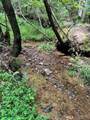 0 Sheep Knob - Photo 1
