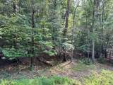 0 Sheep Knob - Photo 11