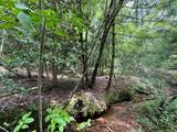 0 Sheep Knob - Photo 13