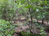 0 Sheep Knob - Photo 14