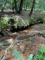 0 Sheep Knob - Photo 15