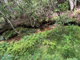 0 Sheep Knob - Photo 16