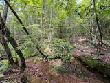 0 Sheep Knob - Photo 2