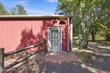 478 Rattlesnake Trail - Photo 16