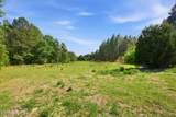 478 Rattlesnake Trail - Photo 2