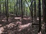 919 Panther Top Road - Photo 10