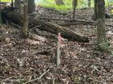 919 Panther Top Road - Photo 11