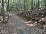 919 Panther Top Road - Photo 12
