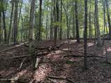 919 Panther Top Road - Photo 13
