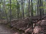 919 Panther Top Road - Photo 14