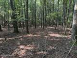 919 Panther Top Road - Photo 4