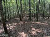 919 Panther Top Road - Photo 5
