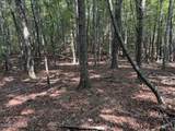 919 Panther Top Road - Photo 6