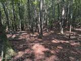 919 Panther Top Road - Photo 7